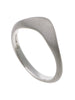 Collette 18ct White Gold Wedding Ring