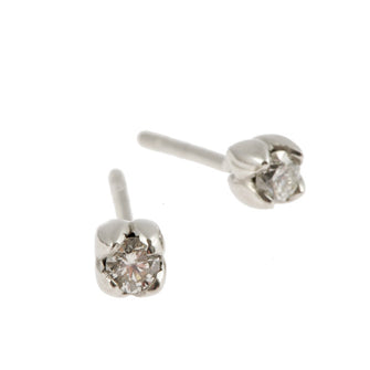 Tulip 18ct White Gold .30pt Diamond Earrings